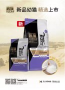 爵加新品幼貓精選上市！