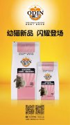奧丁精品幼貓糧閃耀登場(chǎng)?。。?></div>
                <div>
                    <h2>奧丁精品幼貓糧閃耀登場(chǎng)?。。?/h2>
                    <div><span>2019-06-27

</span><span>查看更多</span></div>
                </div>
            </a><li>
             <a href=
