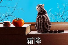 霜降丨縱然霜華盡染，心中美好如初