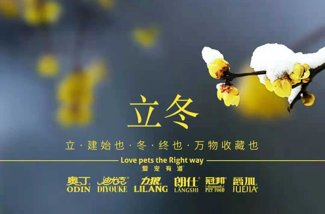 立冬丨冬寒初始，情暖愈濃